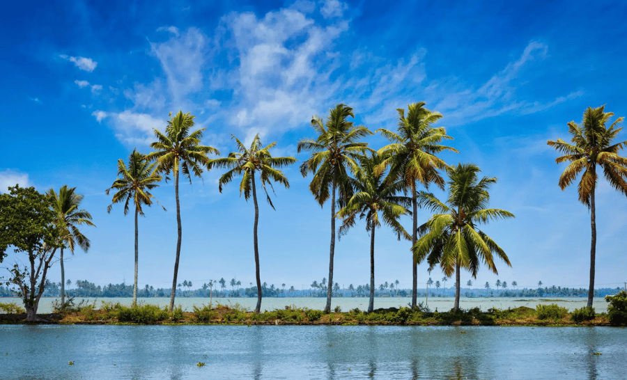 Service Provider of Beaches & Backwater Tour Kerala Tour in New Delhi, Delhi, India.